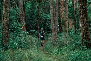 BIB: 
                            <button type="button" onclick="openModal(25237539)" class="btn btn-primary btn-sm float-right btn-popup" data-toggle="modal" data-target=".modal-high-quality">
                        <i class="fas fa-shopping-cart"></i> Add to Cart
                    </button>
                                            <button type="button" onclick="isThisMe(25237539, true)" class="btn btn-success btn-sm float-right btn-popup btn-isme hidden" data-toggle="tooltip" data-placement="bottom" title="นี่คือรูปของคุณใช่ไหม คลิกที่นี่เพื่อเอาเข้าอัลบั้ม">
                        <i class="fas fa-plus"></i> Add to album
                    </button>
                    <button type="button" onclick="isThisMe(25237539, false)" class="btn btn-warning btn-sm float-right btn-popup btn-isnotme hidden">
                        <i class="fas fa-ban"></i> Remove from album
                    </button>